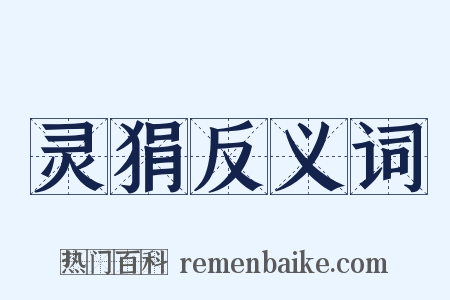 灵狷反义词是什么意思的图片